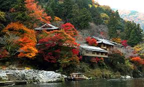 Modern japanese and scandinavian style tiny house design. Japan Hotels Ryokan Indochina Travel