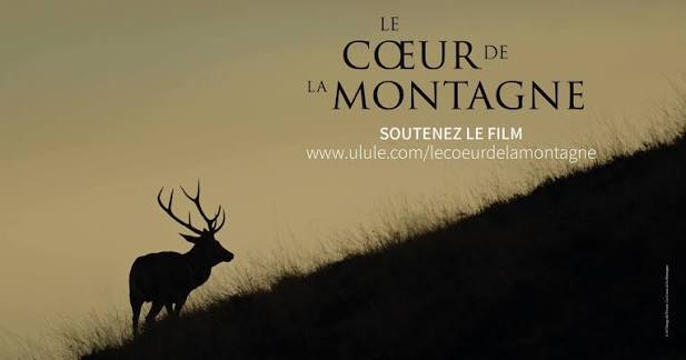 Le Coeur de la Montagne - Film Documentaire Animalier (@imageduVivant) •  Facebook