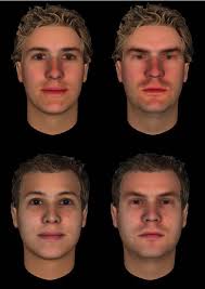 PDF] Do we spontaneously form stable trustworthiness impressions from  facial appearance?