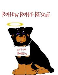 We did not find results for: Owner Surrender Rotten Rottie Rescue