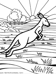 Australia day is celebrated on january 26 in australia. Printable Australian Animal Colouring Pages Total Update