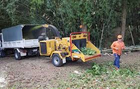 132,691 likes · 16,239 talking about this. Tree Removal Sunshine Coast Steves Stump Grinding