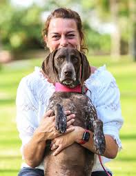 We did not find results for: Dog Walker In Gateshead And Newcastle Pet Sitting Pet Services Dog Walker And Pet Sitting In Gateshead Uk