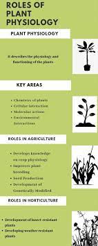 What is physiology of plants. Plant Physiology Its Role And Explanation Allassignmenthelp Com Best Academic Helper Us And Australia