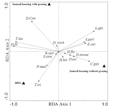 Image result for Diclis reptans