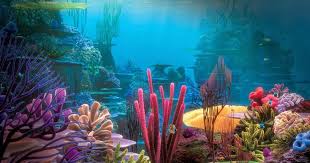 Setibanya di makassar, gunakan pesawat (35 menit) atau. Mewarnai Gambar Pemandangan Bawah Laut Mewarnai Gambar