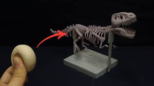 Get the best deals on dinosaur bone when you shop the largest online selection at ebay.com. How To Make T Rex Skeleton With Clay Youtube
