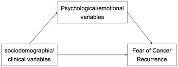 Benign tumors do not metastasize to other organs. Frontiers High Fear Of Cancer Recurrence In Chinese Newly Diagnosed Cancer Patients Psychology