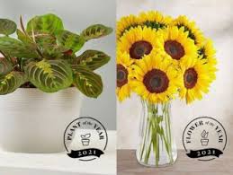 Reports strong revenue and earnings growth for its fiscal 2021 first quarter. 1 800 Flowers Com Debuts Experiential Workshop Collaboration With Alice S Table Perishable News