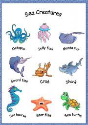 Sea Creatures Esl Worksheet By Mouna Mch