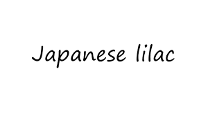 How do you say lilac? How To Pronounce Japanese Lilac Youtube
