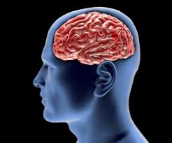 L'emorragia cerebrale è una condizione neurologica causata dalla rottura di un'arteria con conseguente diverse sono le cause che determinano emorragie cerebrali, tra le più comuni Emorragia Cerebrale Cause E Sintomi Di Questa Sindrome Neurologica