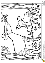 bebe animaux okapi et son petit page 7 sur 12 hugolescargot com coloriage bebes de la ferme a colorier lego harry potter