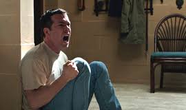 The Voices | Rotten Tomatoes