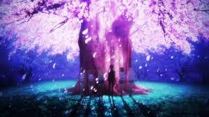 Káº¿t quáº£ hÃ¬nh áº£nh cho hoa anh ÄÃ o anime