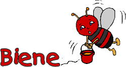 Honigbiene Sachunterricht In Der Volksschule