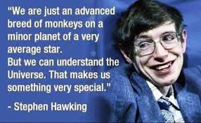 The fact that Jellyfish have survived for 650 million years despite not  having brains gives hope to many people.