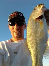 Creek shed contest. Combining shed hunting and fishing. Note to self. Don't  use barb wire.
