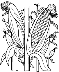 Corn Free Printable Vegetable Coloring Pages Vegetable Coloring Pages Farm Animal Coloring Pages Coloring Pages