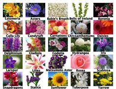 Ume (plum) plum season in japan: 7 Seasonal Flowers By Month Ideas Seasonal Flowers Flowers Seasons