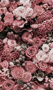 Beautiful Pink Flowers For Your Branding Aesthetic Flower Phone Wallpaper Flower Background Wallpaper Flower Wallpaper