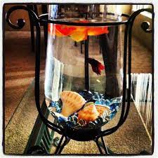 Ebay.com has been visited by 1m+ users in the past month Pin By Emily Hathcock On My Pemberley Betta Fish Tank Fish Tank Beta Fish