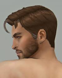 Robert (male hair)