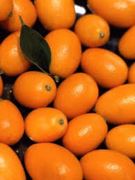 Although not poisonous, seeds kumquat has a bitter taste like the seeds of an orange. How To Eat A Kumquat Kumquat Tree Citrus Trees Kumquat Seeds