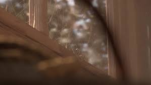 Ciri Cottage Predicament