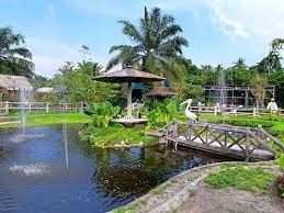 We did not find results for: Rahmat Zoo Park Kebun Binatang Di Perbaungan Pariwisata Sumut