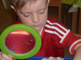 Tauernzwerge: Vorreiter in der Bildung