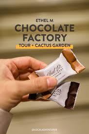 We went on the ethel m chocolate factory tour and the botanical cactus garden, which is one of the largest collections. Ethel M Chocolate Factory And Botanical Cactus Gardens