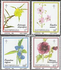 Image result for Sopubia mannii