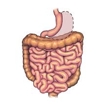 Most insurance companies have certain. Bariatric Surgery Program Children S Mercy Kansas City