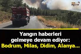 Didim ve alanya'daki yangın kontrol altına alındı. Mglokkdji0 5tm