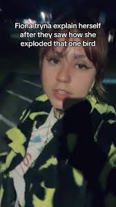 Shrek Fiona and The Bird