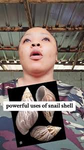 Snail shell and morning urine