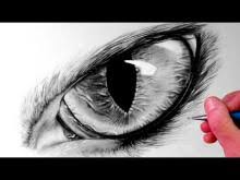 Draw this cat by following this drawing lesson. How To Draw Cat Eyes Drawings Ideas For Kids