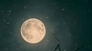 New Moon (Amavasya) Manifestations: How ...