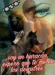 B Frases De Amor Complicado Frases Bonitas Para Compartir Frases Imagenes De Amor