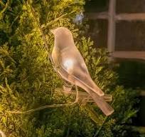 Solar LED Bird Clip On String Lights 5PC - Solar Lights for Garden Bird Baths