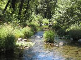 Sedona is located approximately 120 miles north of phoenix. Cave Spring Coconino National Forest Recreation Recreation Gov