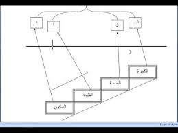 سلم الحركات في اللغة العربية