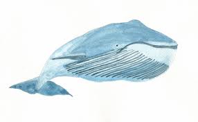 Ana martins marques's most popular book is o livro das semelhanças. Two Poems By Ana Martins Marques