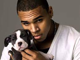 If you don't find the exact resolution you are looking for, then go for 'nearest' resolution which may fits perfect to your desktop. Chris Brown Wallpapers Hd Download Free Backgrounds