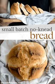 Small Batch No Knead Bread Recipe No Knead Bread Small Batch Baking Bread