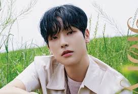 3/8 mnet m countdown rowoon special mc 3/9 sbs law of the jungle in patgonia 3/9 fansigning event in mokdong 3/9 sbs power fm nct night night 3/10 fansigning event in sangam. Inseong Sf9 Profile Facts Filmography Karchives