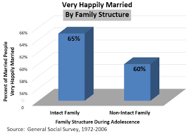 Effects Of Marriage On Society Marripedia