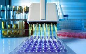 It is primarily used to measure the amount of a specific rna. Metod Pcr Diagnostiki Sfery Primeneniya Podgotovka K Issledovaniyu Analizy Na Infekcii