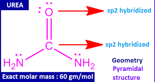 Urea Structure And Molar Mass Molar Mass Vsepr Theory Solubility